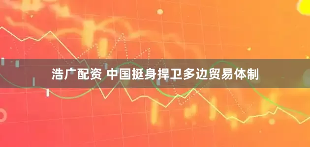 浩广配资 中国挺身捍卫多边贸易体制